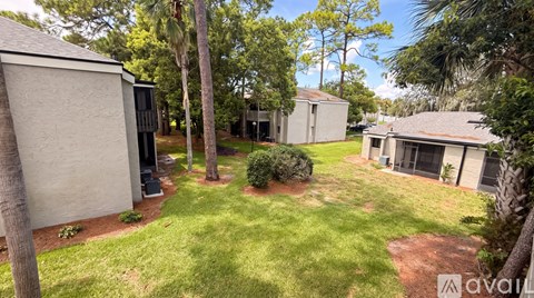 A backyard with a tree and a house.