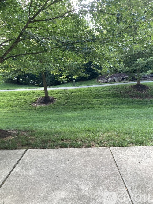 A tree with green leaves is in the middle of a grassy area.
