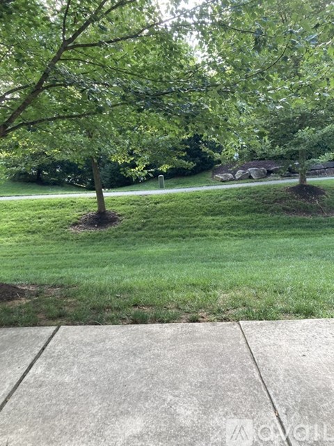 A tree with green leaves is in the middle of a grassy area.