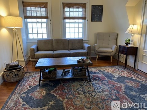 A living room with a couch, chair, and rug.