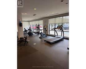 A gym with treadmills and elliptical machines.