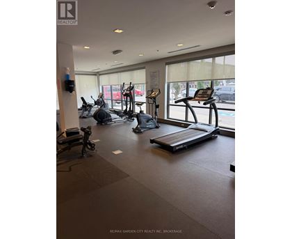 A gym with treadmills and elliptical machines.