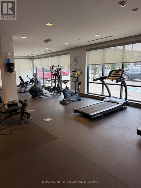A gym with treadmills and elliptical machines.