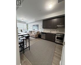 A modern kitchen with dark brown cabinets and a grey rug on the floor.