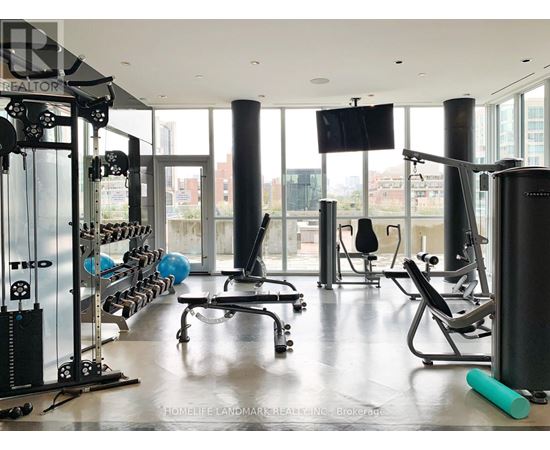 A gym with a variety of equipment including a squat rack, a bench, and a rowing machine.
