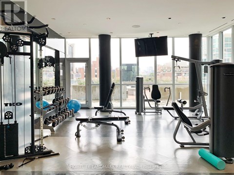 A gym with a variety of equipment including a squat rack, a bench, and a rowing machine.