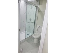 A white toilet in a glass shower stall.