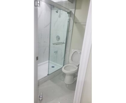A white toilet in a glass shower stall.