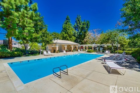 A large outdoor swimming pool surrounded by trees and sun loungers.