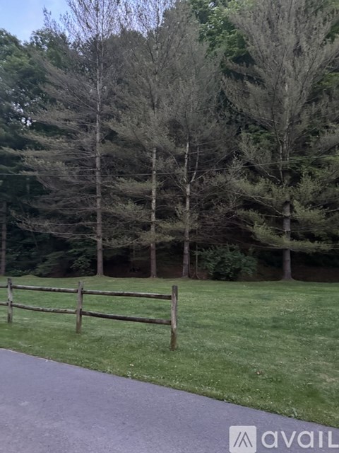 A pathway leads through a grassy area with a wooden fence and trees in the background.
