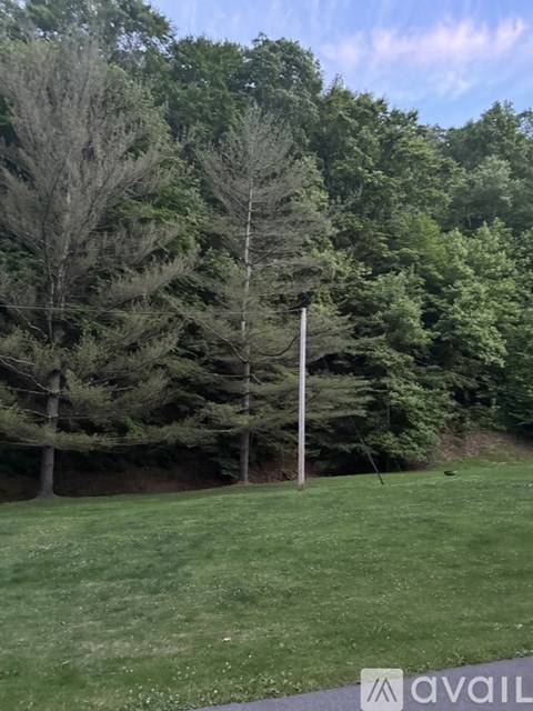 536 Whitley Ln 3 Beds Apartment for Rent