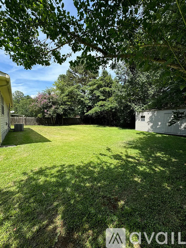 A backyard with a lawn and trees.