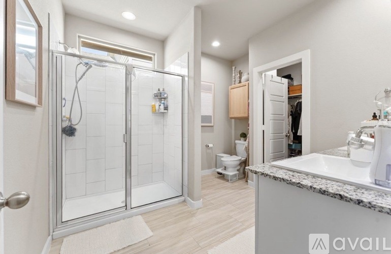 A bathroom with a walk-in shower and a sink.