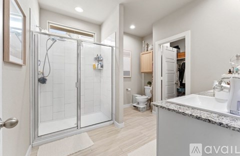 A bathroom with a walk-in shower and a sink.