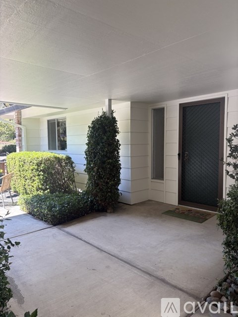 A house with a black door and a green plant in front.