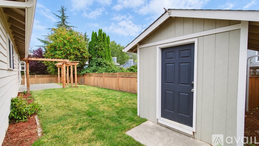 A backyard with a shed and a fence.