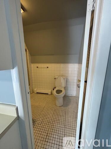 A bathroom with a toilet and a shower.