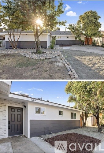 A modern house with a grey front and a tree in the front yard.