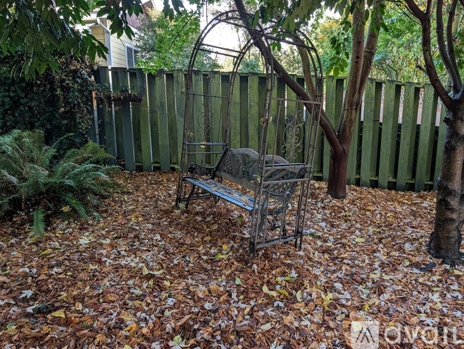 A bench sits in a backyard surrounded by trees and leaves.