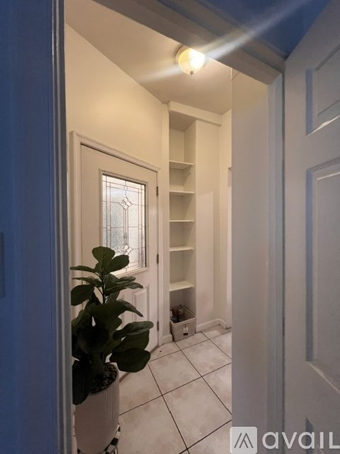 A room with a potted plant and a window.