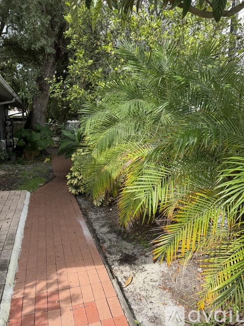 A pathway with a brick border leads through a lush green garden.