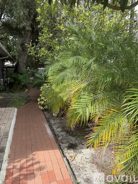 A pathway with a brick border leads through a lush green garden.