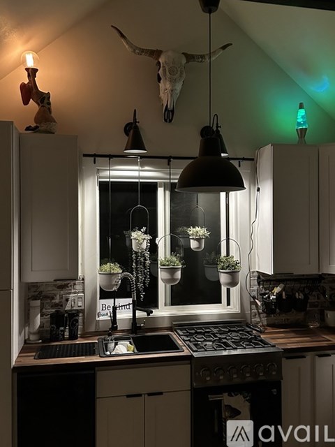 A kitchen with a stove, sink, and hanging plants.