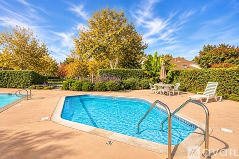 A pool surrounded by trees and chairs.