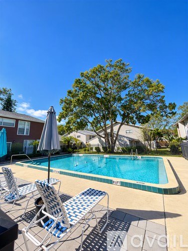 A pool with a tree in the background and chairs around it.