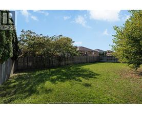 A backyard with a wooden fence and green grass.