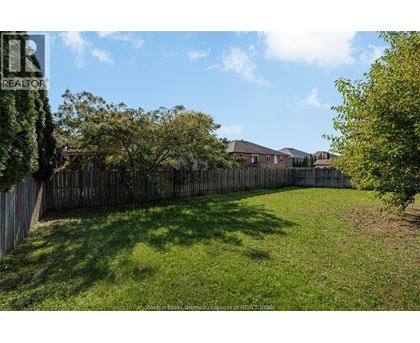 A backyard with a wooden fence and green grass.
