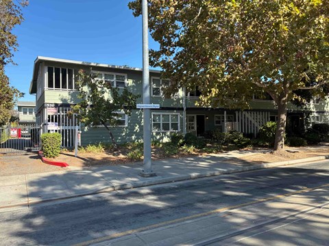A street view of a building with a tree in front.