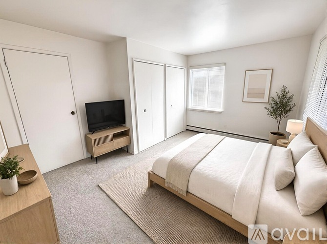 A bedroom with a bed, a television, and a plant.