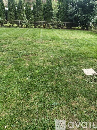 A grassy field with trees in the background and a fence running along the top.