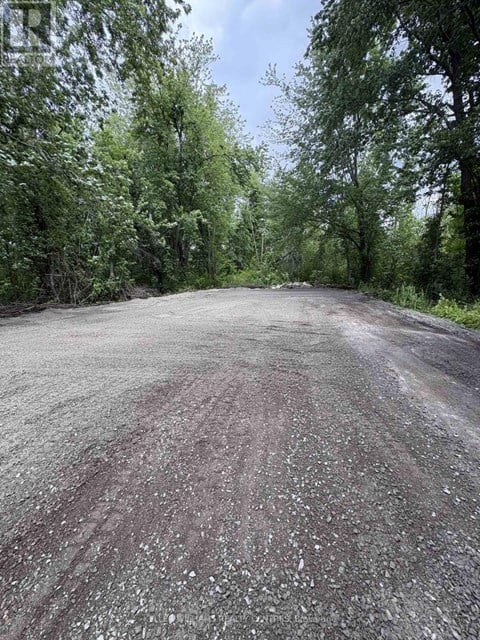 A gravel road stretches into the distance surrounded by trees.