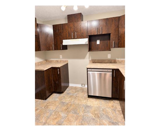 A kitchen with a stainless steel dishwasher and brown cabinets.
