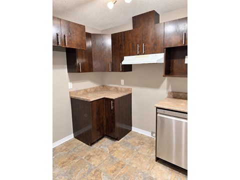 A kitchen with a stainless steel dishwasher and wooden cabinets.