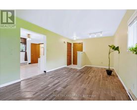 A room with wooden flooring and white walls, with a plant in a black pot on the right side.