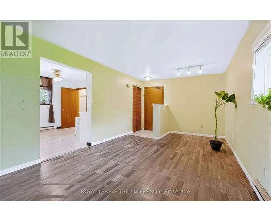 A room with wooden flooring and white walls, with a plant in a black pot on the right side.