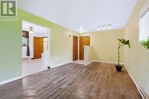 A room with wooden flooring and white walls, with a plant in a black pot on the right side.