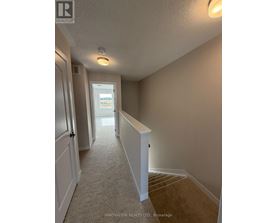 A hallway with a carpeted floor and white walls.