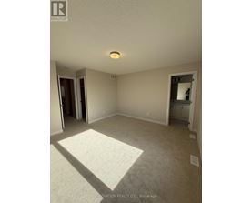 A spacious room with a carpeted floor and a ceiling light.