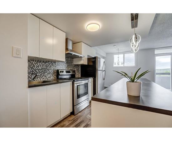 A kitchen with a black oven and a plant on the counter.