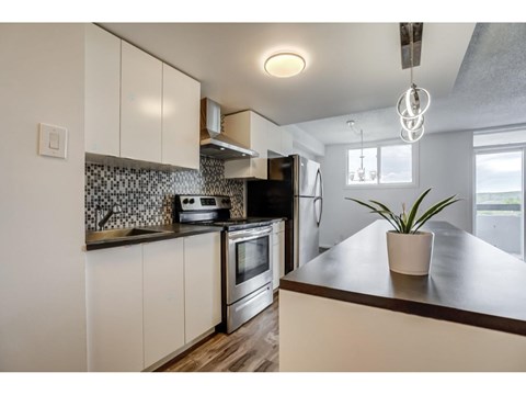 A kitchen with a black oven and a plant on the counter.