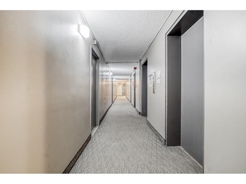 A long hallway with doors on both sides and a carpeted floor.
