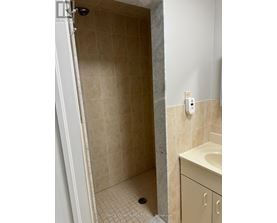 A bathroom with a tiled shower and a white sink cabinet.