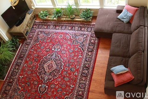 A living room with a brown couch and a red rug.