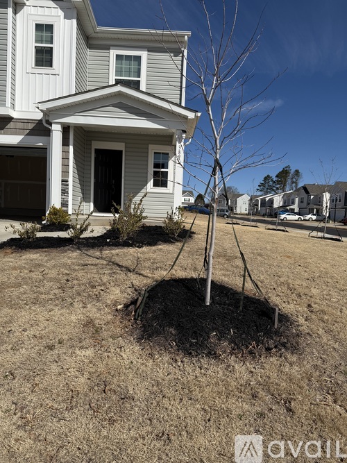 A small tree is planted in a hole in a grassy area in front of a house.
