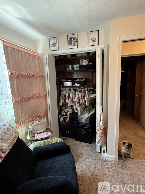 A dog sits in the doorway of a room with a couch and a window with curtains.