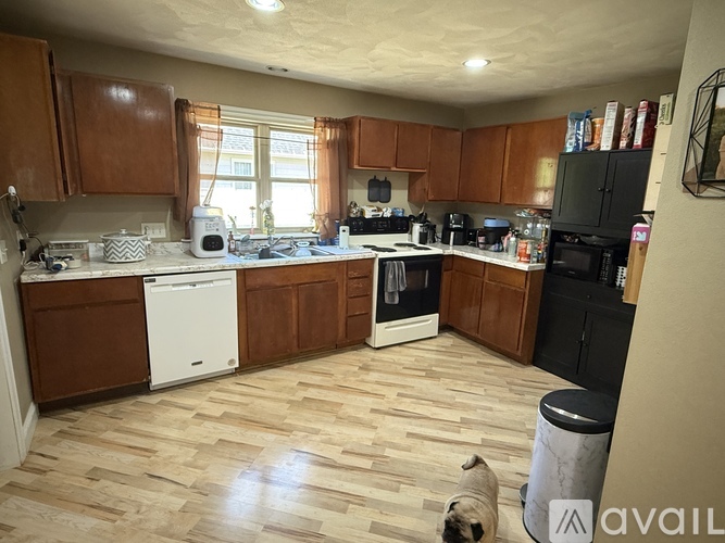 A kitchen with wooden cabinets and a pug dog.